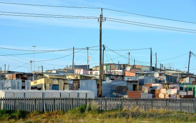 Township Winery: why growing vines in Cape Town’s slums makes sense